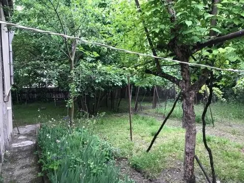 Душети: Guest House Dusheti