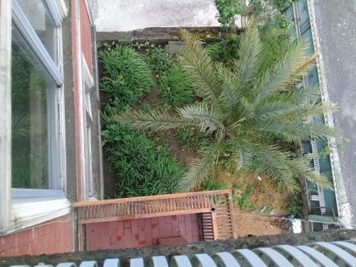 Поти: "Felix" hotel in the city of Poti, Near the sea
