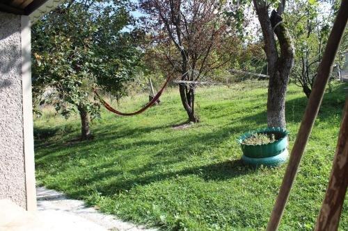 Телави: guest house sumba