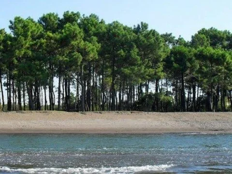 Григолети: Grigoleti - Sea Forest House
