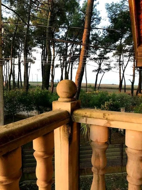 Григолети: Grigoleti - Sea Forest House