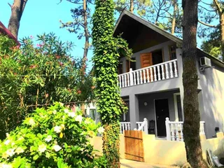 Григолети: Grigoleti - Sea Forest House
