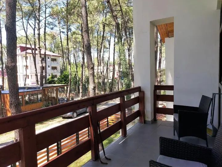 Beachfront 4-bedroom home in Kaprovani pine forest — фото 6