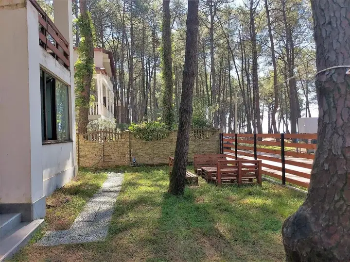 Beachfront 4-bedroom home in Kaprovani pine forest — фото 4