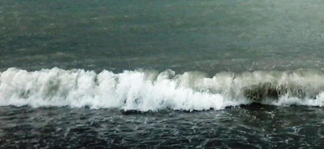 Поти: Apartment near the sea