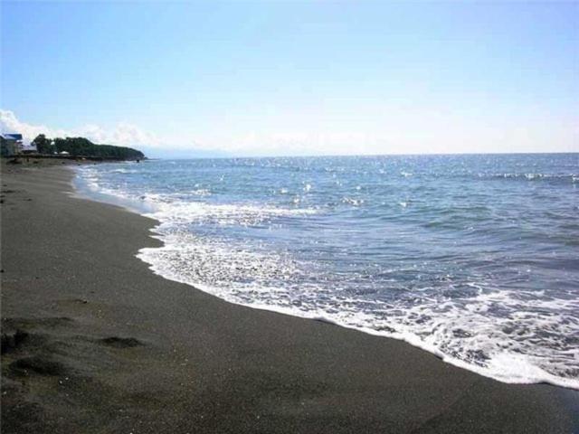 Поти: Apartment near the sea