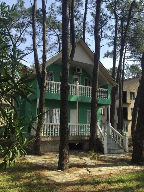 Григолети: Green House