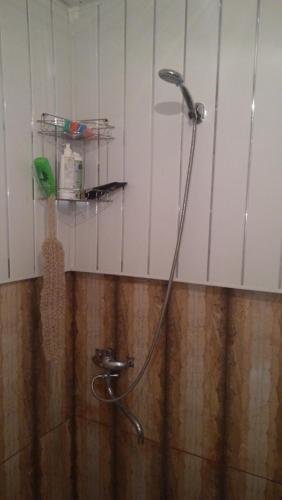 Местиа: Guest house Ladman