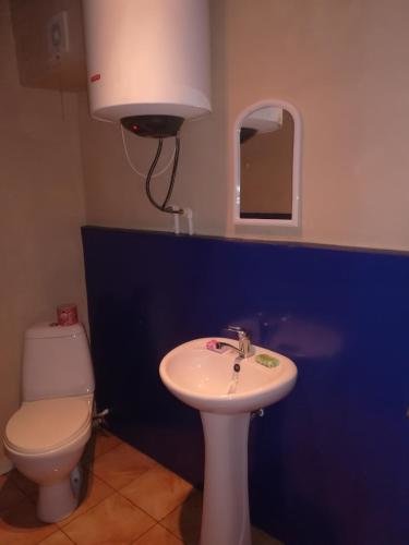 Ушгули: Guesthouse Svanuri Saxli