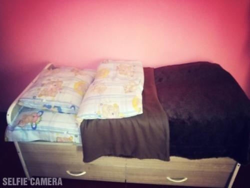 Местиа: Guledani Guest House