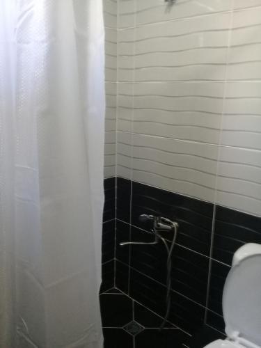 Амбролаури: ambrolauri Guest House "Saba"