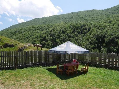 Ушгули: Chazhashi Guesthouse