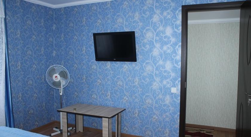 Боржоми: Guesthouse on Tamar Mefe St.14