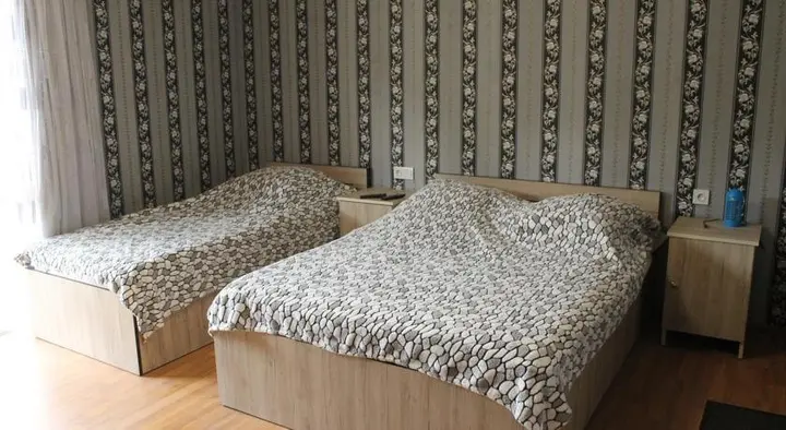 Боржоми: Guesthouse on Tamar Mefe St.14