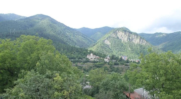 Боржоми: Guesthouse on Tamar Mefe St.14