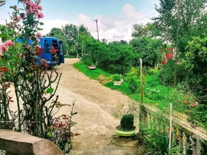 Цихисдзири: Jemali Mikeladze