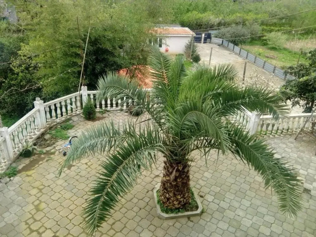 Цихисдзири: Red Home