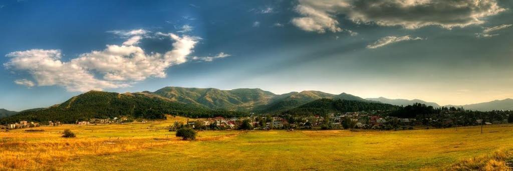 Бакуриани: Bakuriani Mgzavrebi Apt. 402