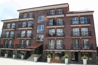 Бакуриани: Bakuriani Mgzavrebi Apt. 402