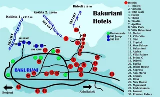 Бакуриани: Bakuriani Mgzavrebi Apt. 402