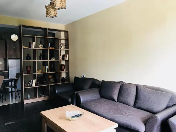 Бакурианский Андезит: Apartment in Bakuriani Residence