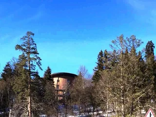 Бакуриани: House in he forest