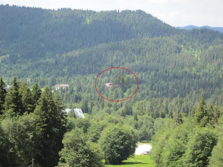 Бакуриани: House in he forest