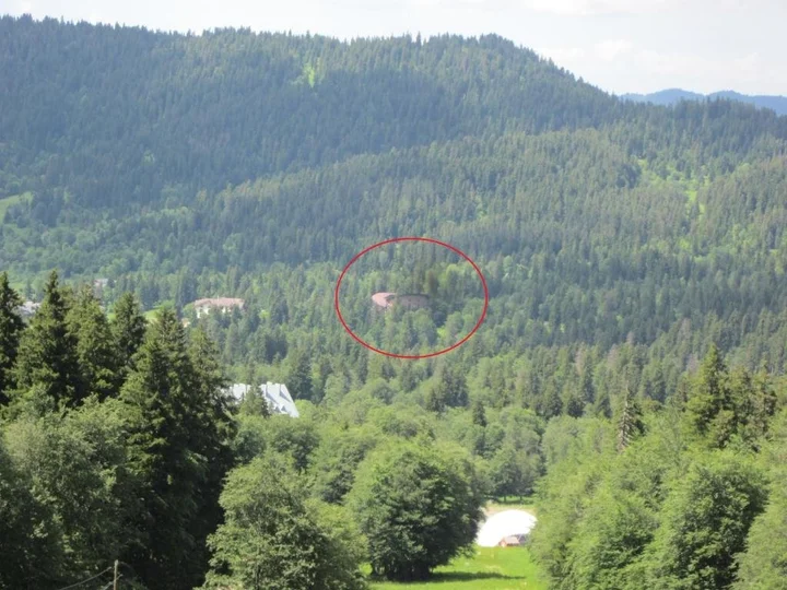 Бакуриани: House in he forest
