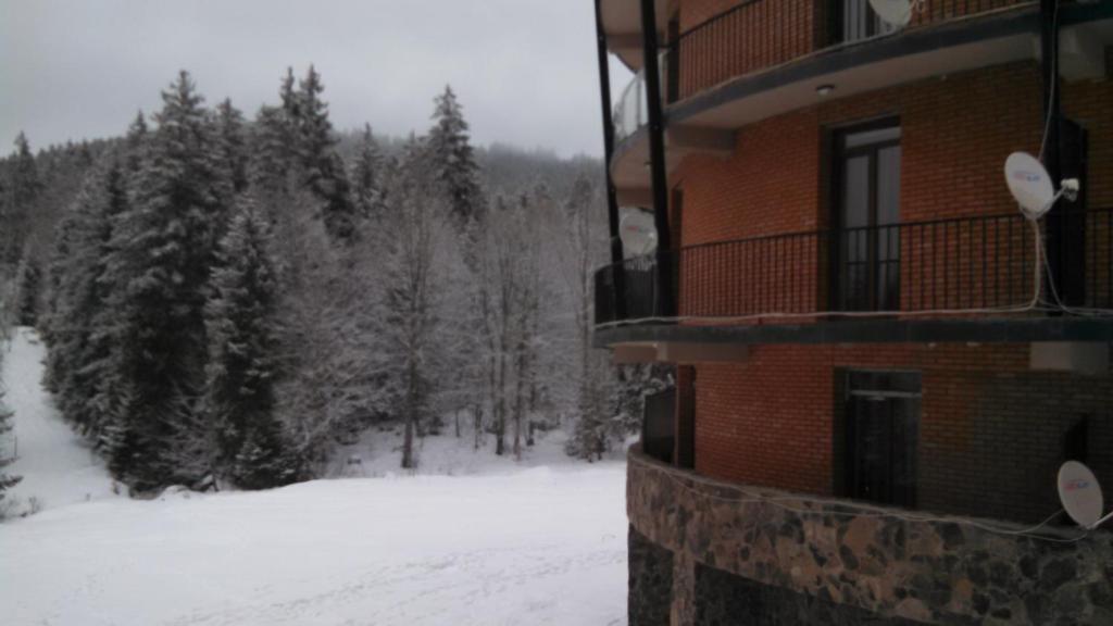 Бакуриани: House in he forest
