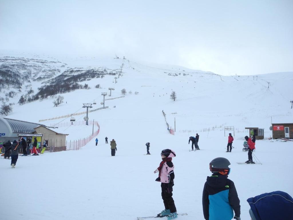Бакуриани: Bakuriani Valley 220