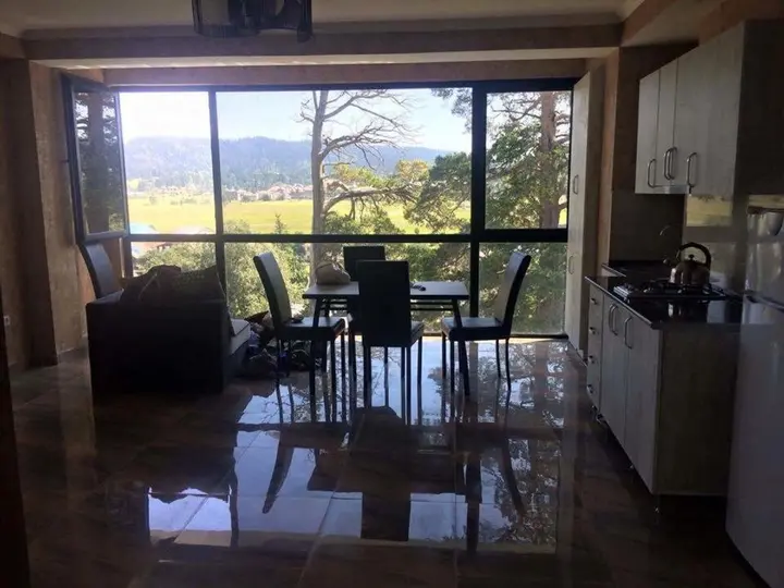 Бакуриани: Hillside Bakuriani , Room 501