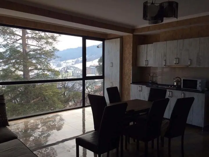 Hillside Bakuriani , Room 501 — фото 1