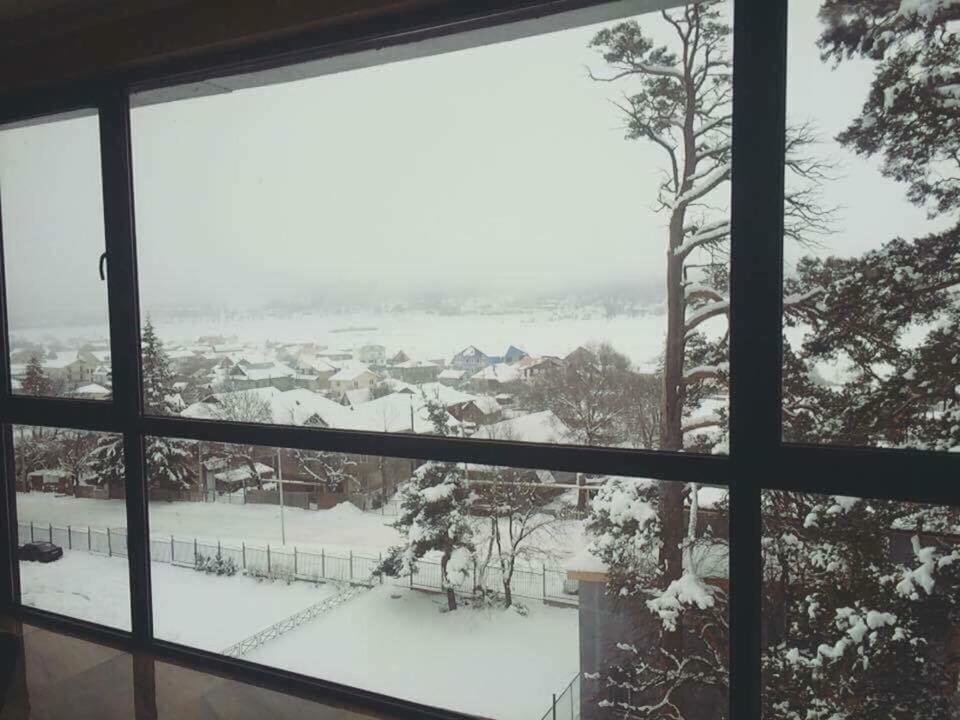 Бакуриани: Hillside Bakuriani , Room 501