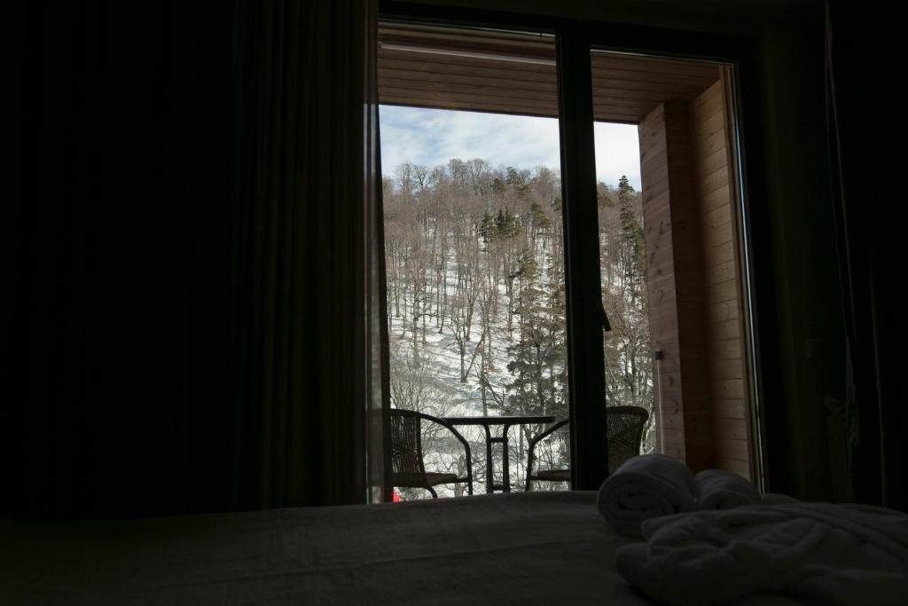 Бакуриани: The Valley Residence And Spa Bakuriani, Apartment 207