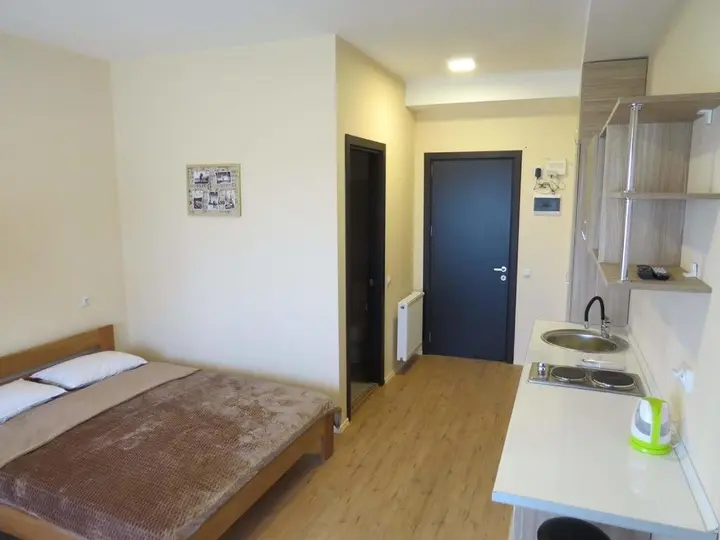 Бакуриани: Cozy APT near Didvalley