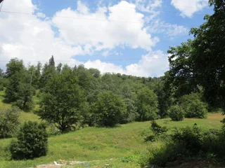 Бакуриани: Cozy APT near Didvalley