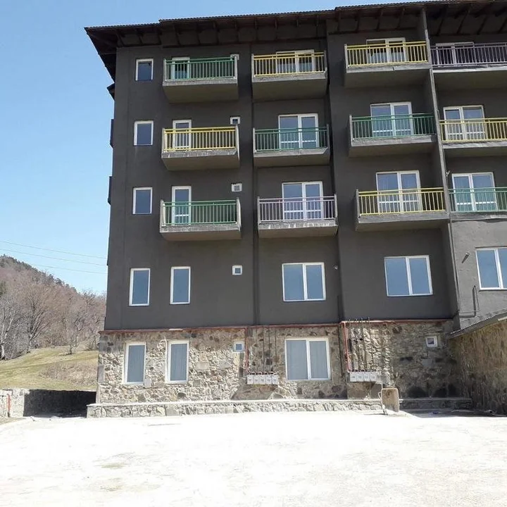 Бакуриани: Cozy APT near Didvalley