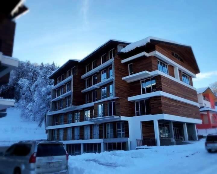 Бакурианский Андезит: Apartment TOMASI in Bakuriani