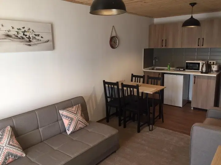 Apartment 50 in 4 Star Hotel “Panorama Mgzavrebi” — фото 2