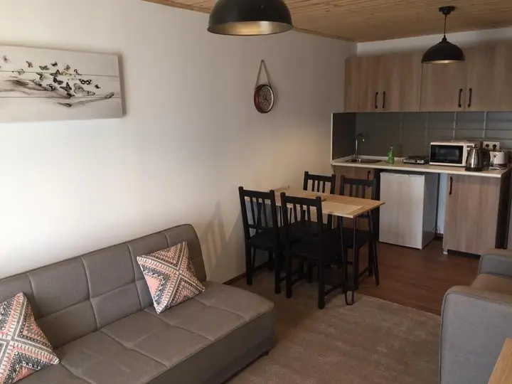 Бакуриани: Apartment 50 in 4 Star Hotel “Panorama Mgzavrebi”