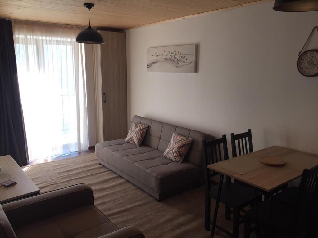 Бакуриани: Apartment 50 in 4 Star Hotel “Panorama Mgzavrebi”