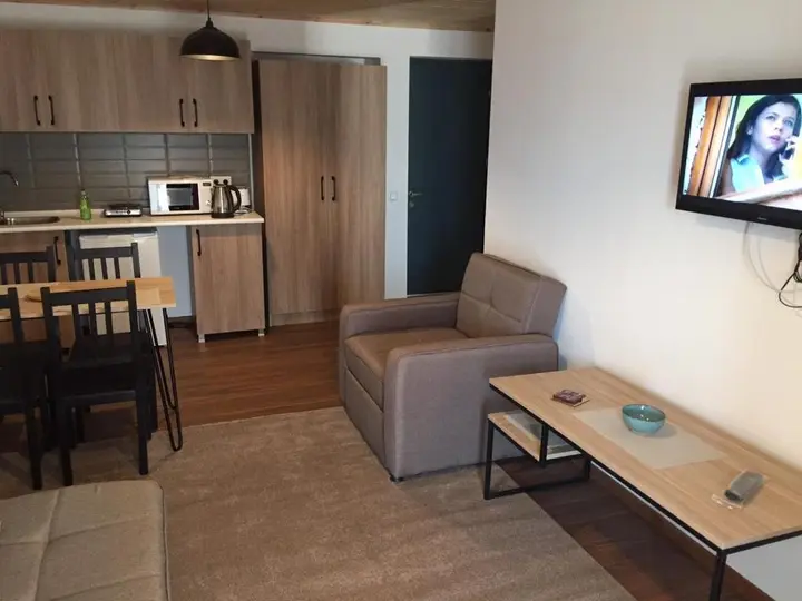 Бакуриани: Apartment 50 in 4 Star Hotel “Panorama Mgzavrebi”