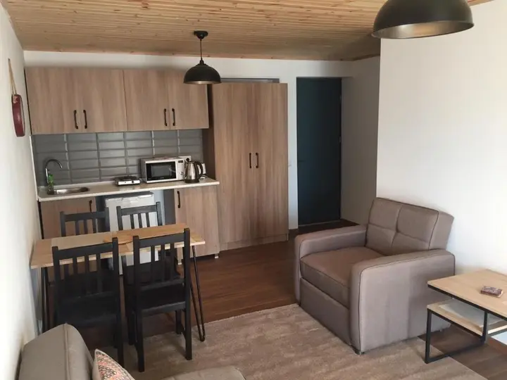 Бакуриани: Apartment 50 in 4 Star Hotel “Panorama Mgzavrebi”