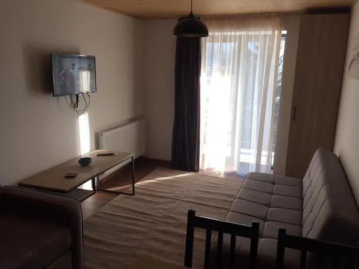 Бакуриани: Apartment 50 in 4 Star Hotel “Panorama Mgzavrebi”