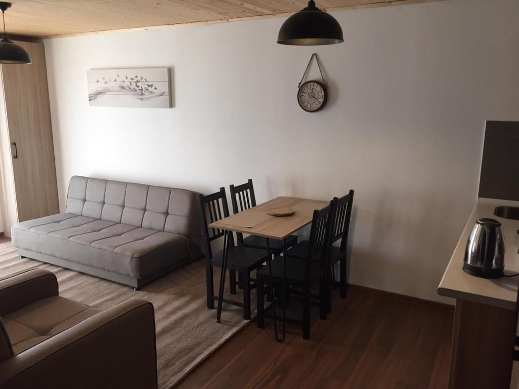 Бакуриани: Apartment 50 in 4 Star Hotel “Panorama Mgzavrebi”