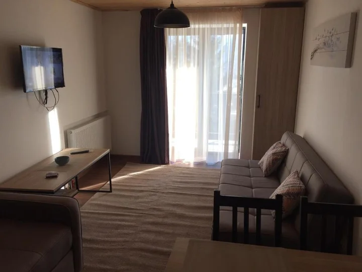 Бакуриани: Apartment 50 in 4 Star Hotel “Panorama Mgzavrebi”