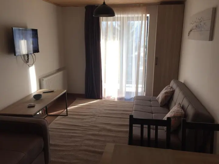 Бакуриани: Apartment 50 in 4 Star Hotel “Panorama Mgzavrebi”