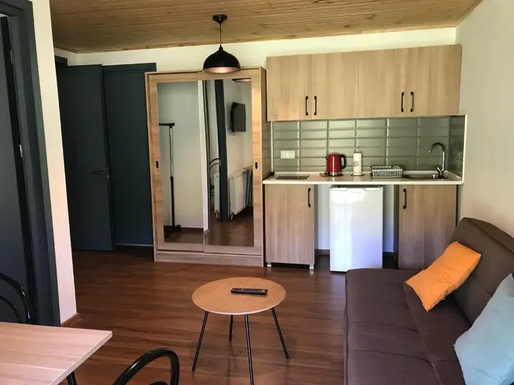 Бакуриани: Bakuriani Panorama Mgzavrebi Apt.69