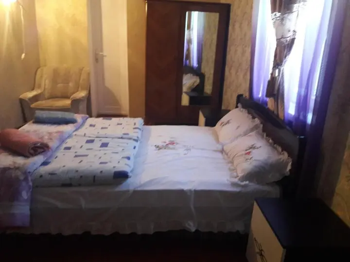 Степанцминда: Guest House Fiiq 717