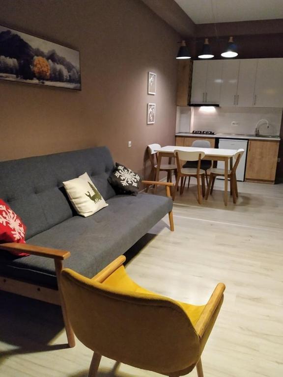 Бакуриани: Didveli Residence, apartment 5